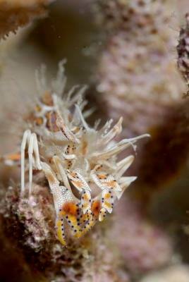 �����@����